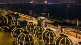 WhatsApp Image 2024-01-22 at 2.33.41 PM